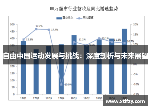 自由中国运动发展与挑战：深度剖析与未来展望